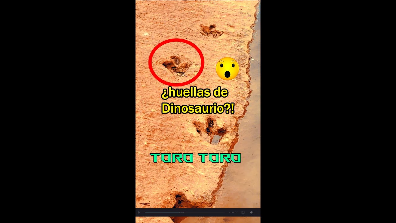 Rastros de dinosaurios! increibles en Bolivia 🦖😲 Un viaje al Pasado 