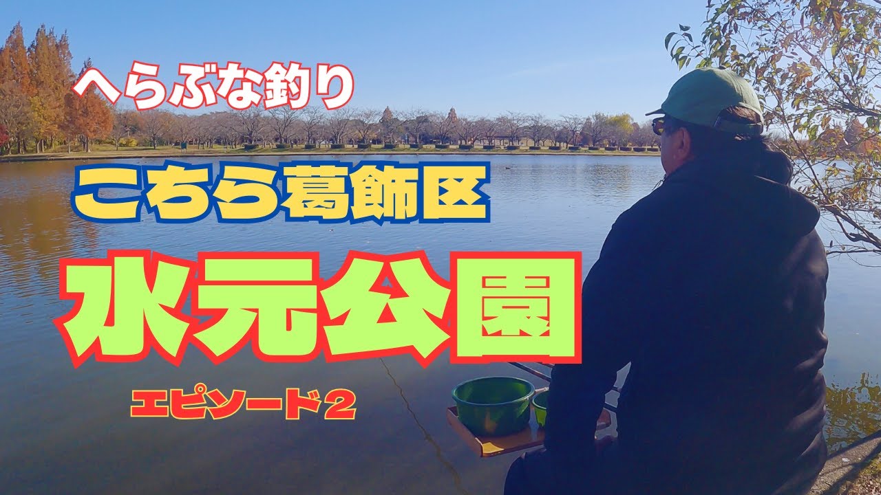 へらぶな釣り動画です🎣水元公園での釣行の様子です☺️