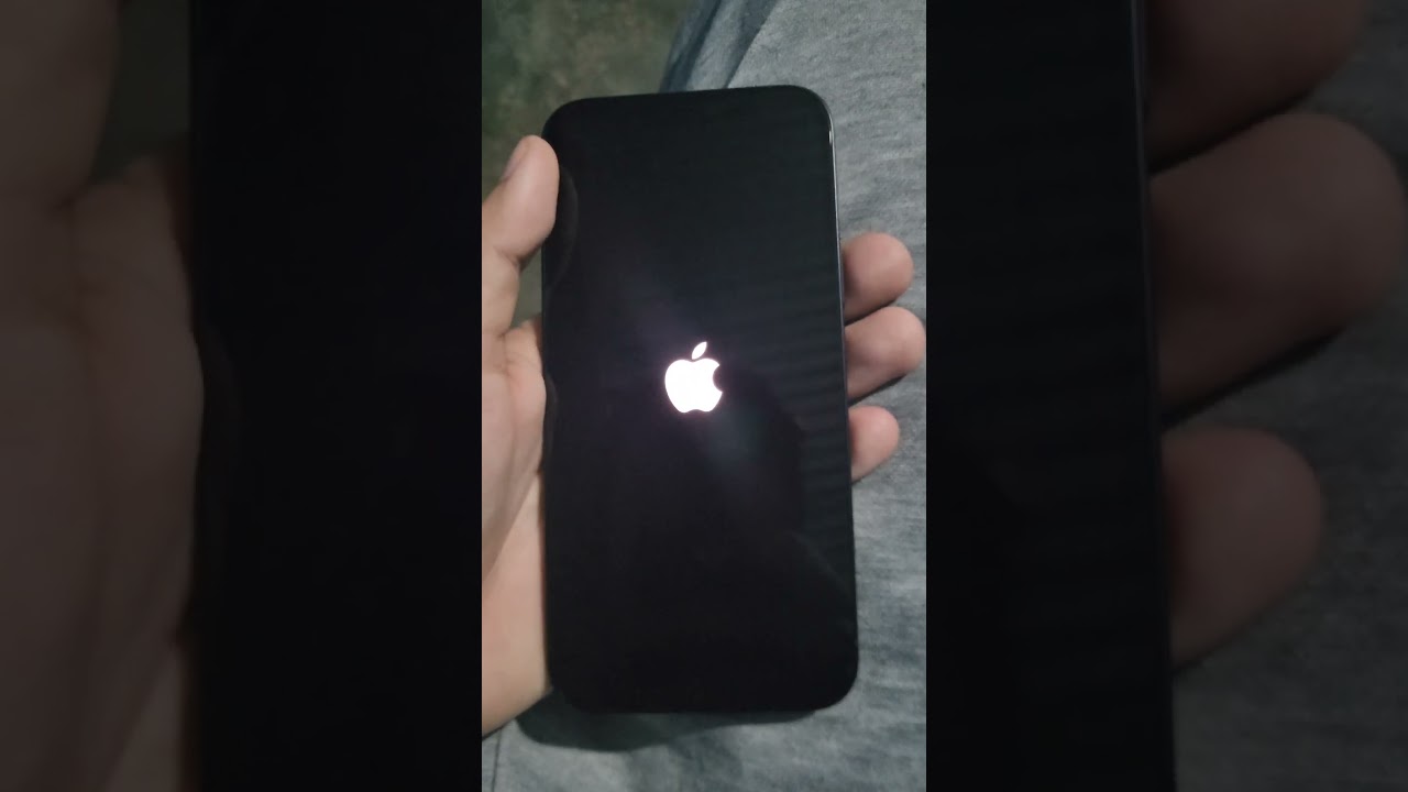 Iphone 12 issue logo stuck
