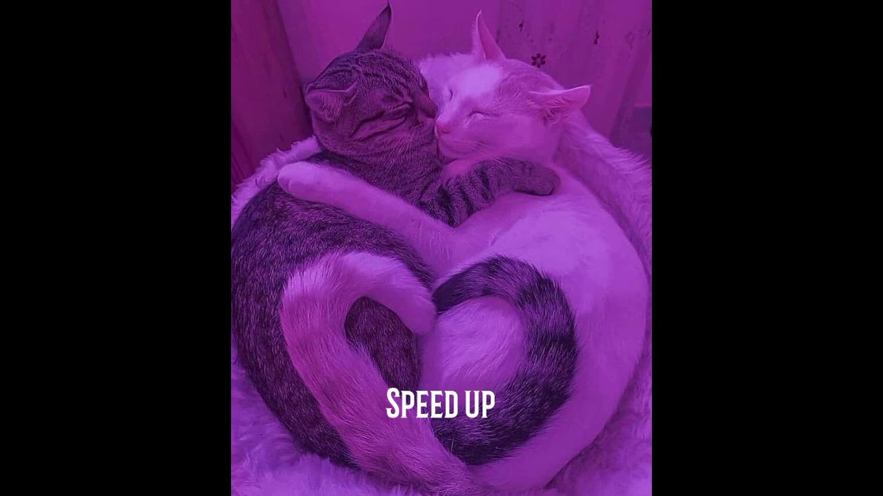 Nikky-Tuesday(speed up)