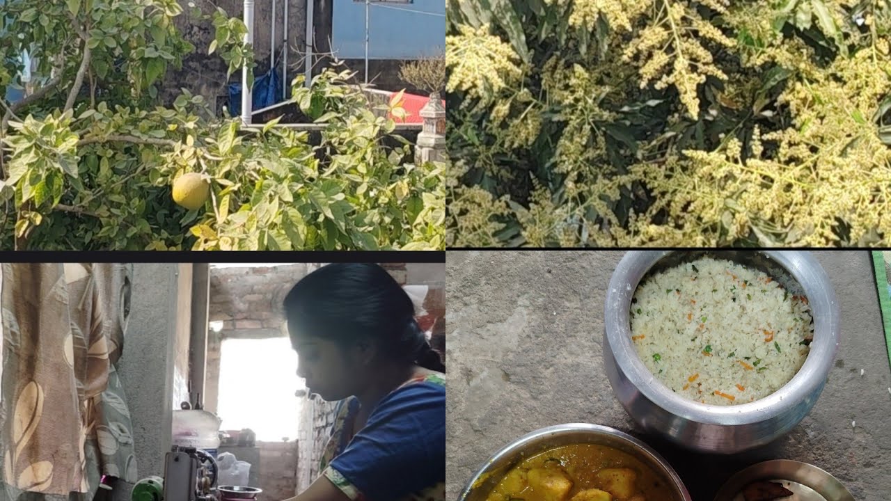 ||এবছর মনে পূজোয় মায়েদের বাড়ির গাছের বেল দিতে পারবো 😌☺||Gogol-manu r Poribar ❤||