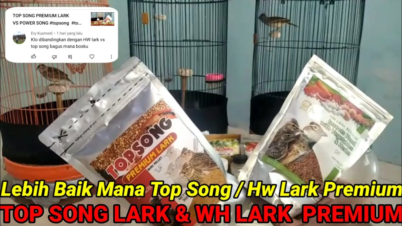 VORE TOP SONG PREMIUM LARK LEBIH EDAN DARI VORE HW..? (LINK DI DESKRIPSI PENGGACOR HARIAN 👇)