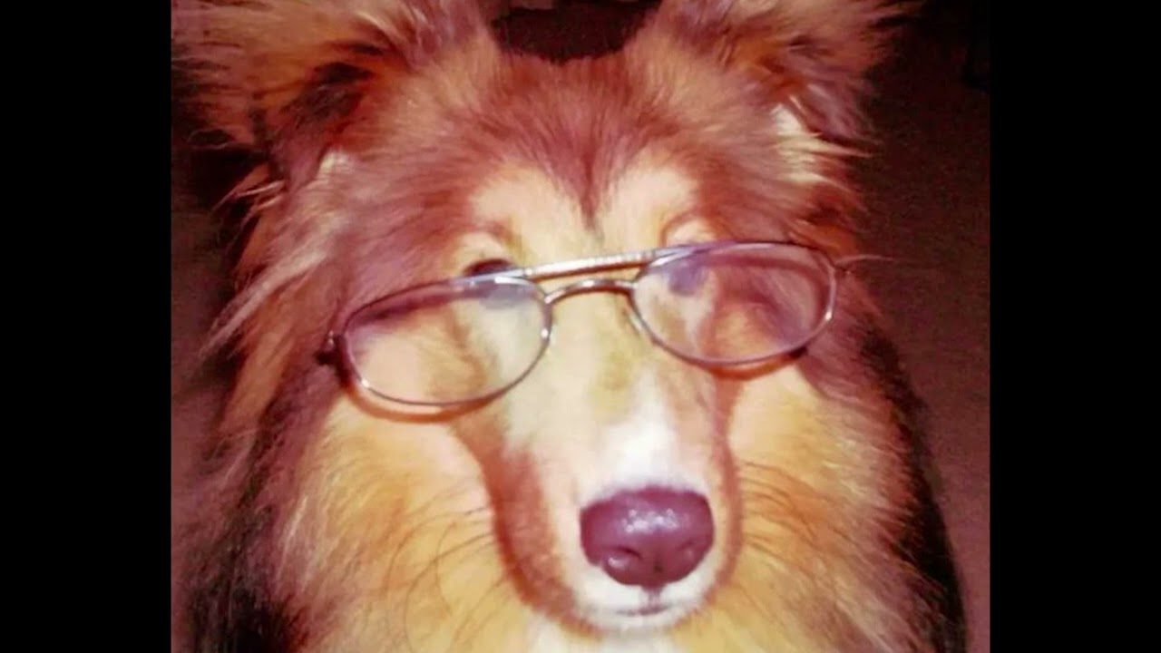 303 beat prod prettylovebites mp3