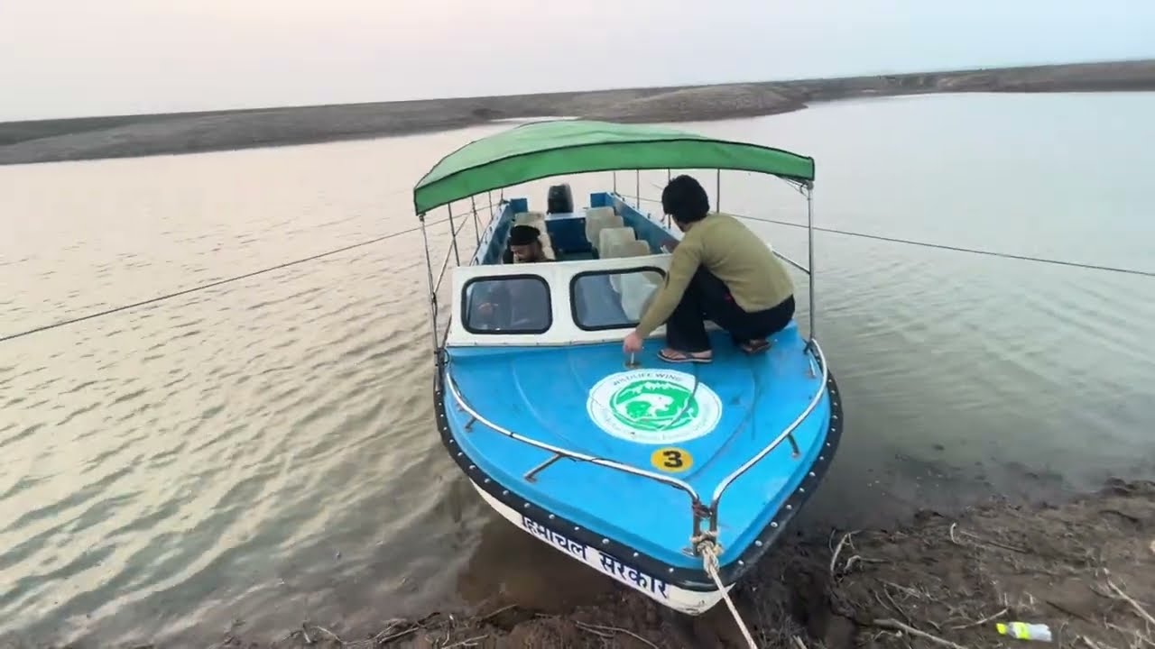 Modified karaya || Meow Gop GOP || Ground Me Aye Retired Fozi || water boat Bathu Ki Ladi || Shodii