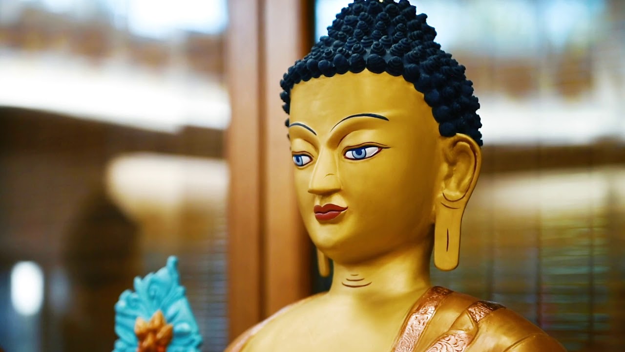 MEETING THE MEDICINE BUDDHAS