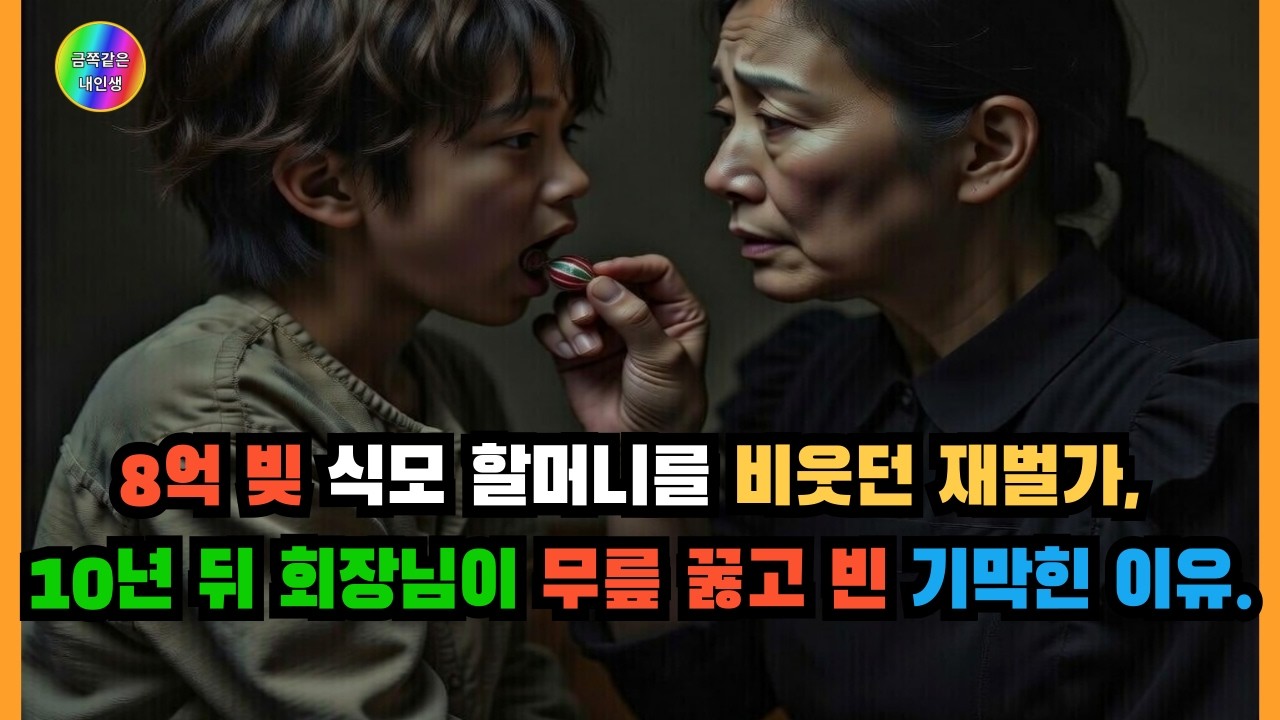8억 빚쟁이 식모 할머니가 재벌가 안주인이 된 기적 #재벌가비밀 #권선징악 #감동
