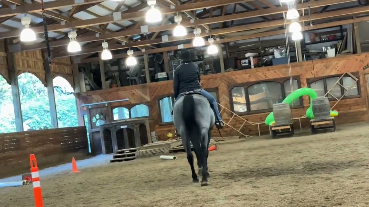 Class 83: Western Horsemanship Beginner - Adult Open
