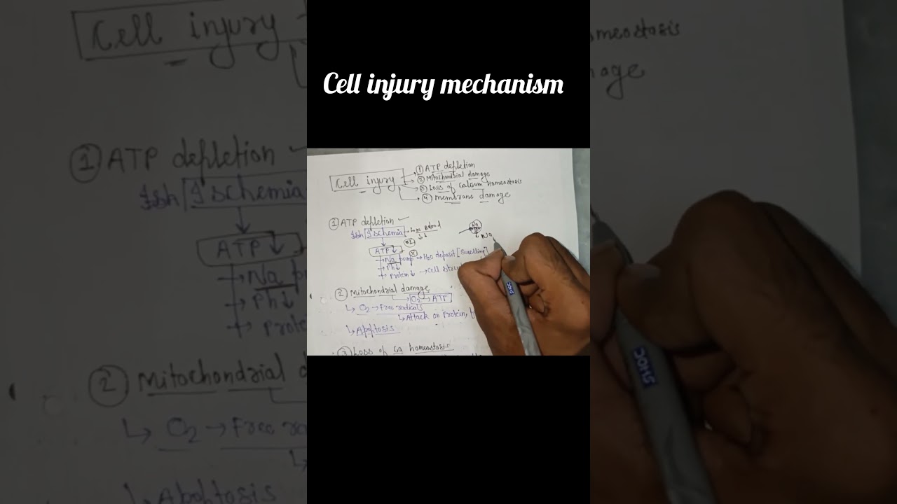cell injury mechanism pathology bsc nursing 3rd semester