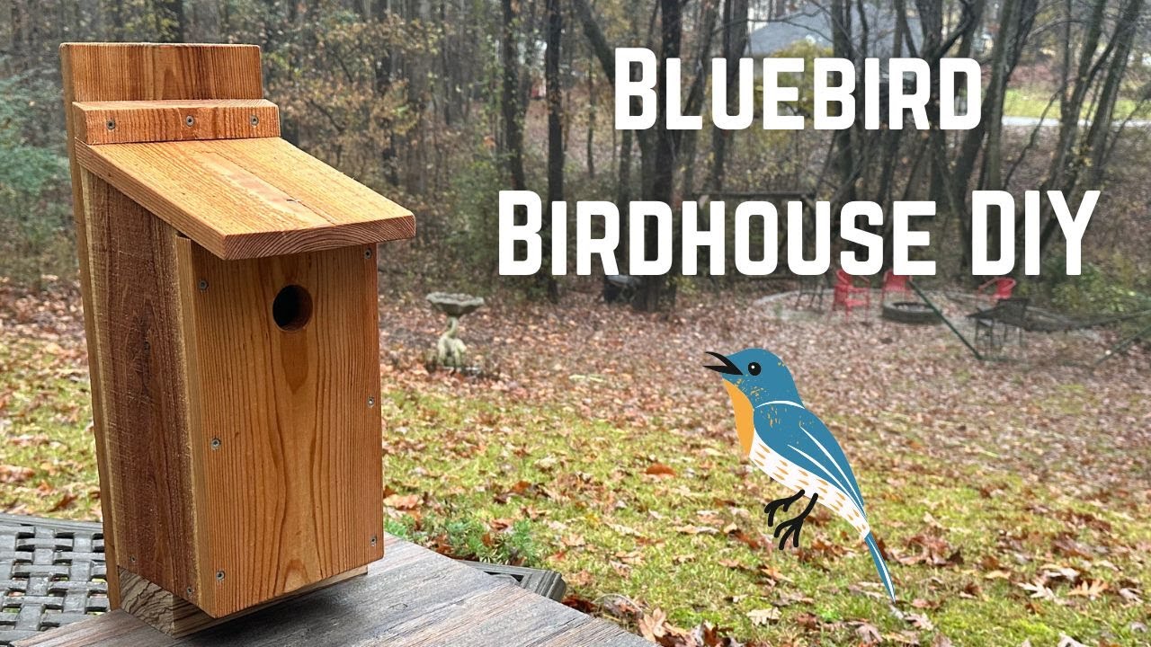 How to Build a Bluebird Birdhouse. A Fun 30 Minute Woodworking Project!