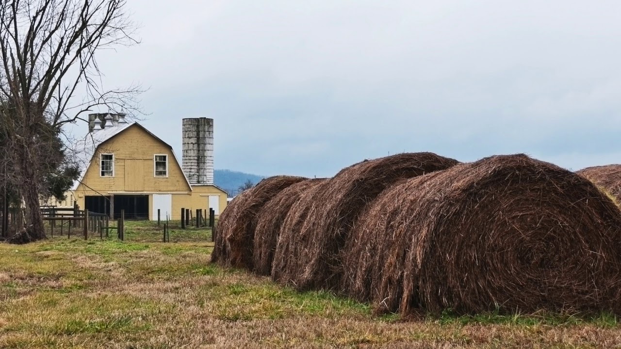 Protect Your Hay Investment: Hay Bale Storage Tips