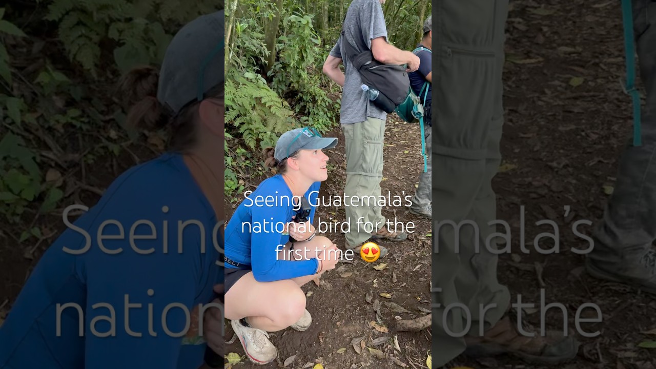 Face to Face with Guatemala&rsquo;s Rarest Bird: On Accident #guatemala #travel #birdwatching #lakeatitlan