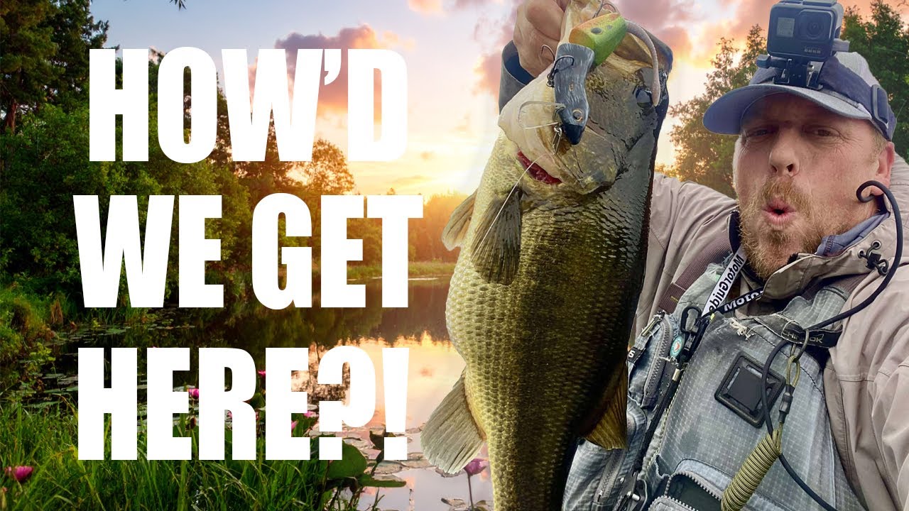 How To Catch HUGE Bass While Fishing BIG Swimbaits - MTL Baits - Kersmacks, Chaser Rat, Bruce Gillis