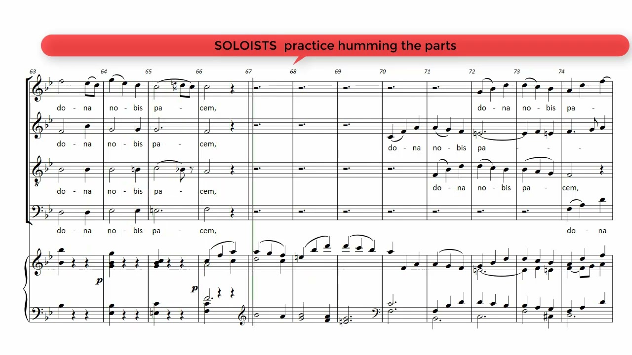 Agnus Dei + Dona nobis BASS  part  Haydn Theresienmesse