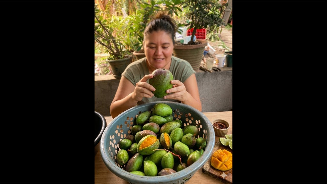 Deliciosos Mangos 🥭