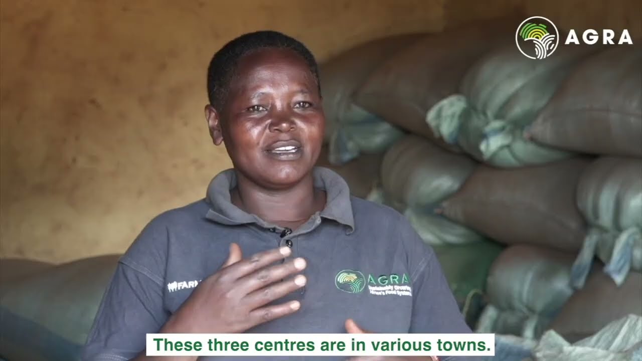 Meet the Women Revolutionizing Agriculture in Kenya—From Farmers to Leaders!