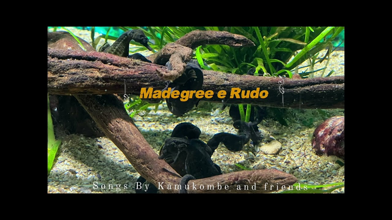 Madegree e Rudo