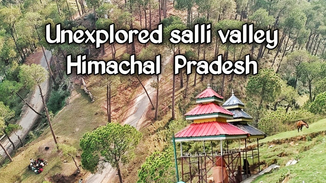 Unexplored Salli Valley In Dharamshala Himachal Pradesh | kareri valley Himachal | Salli, Kareri