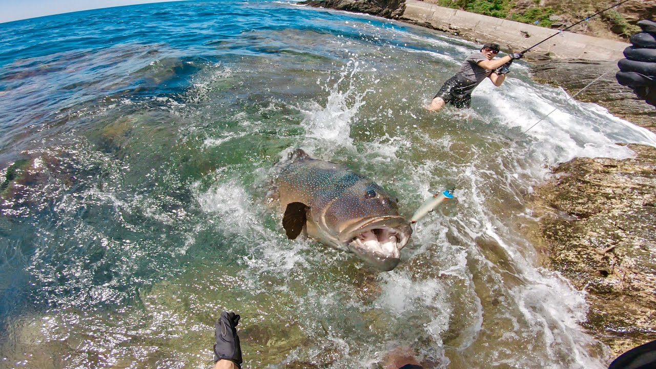 I Caught the Biggest Coral Trout in the World!