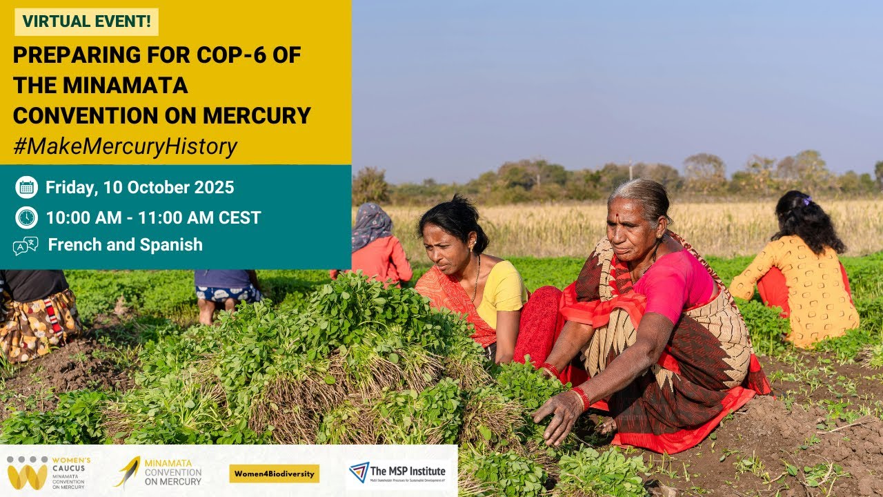 Preparing for COP-6 of the Minamata Convention on Mercury