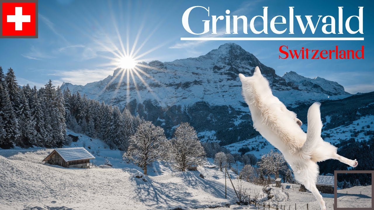 Beautiful Grindelwald: Hiking In The Winter Wonderland