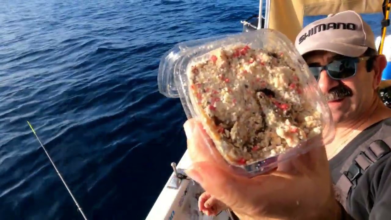 ΕΝΑ ΑΠΟΛΑΥΣΤΙΚΟ ΨΑΡΕΜΑ ΜΕ ΤΟ BEASTMASTER QUIVER ΤΗΣ SHIMANO 2