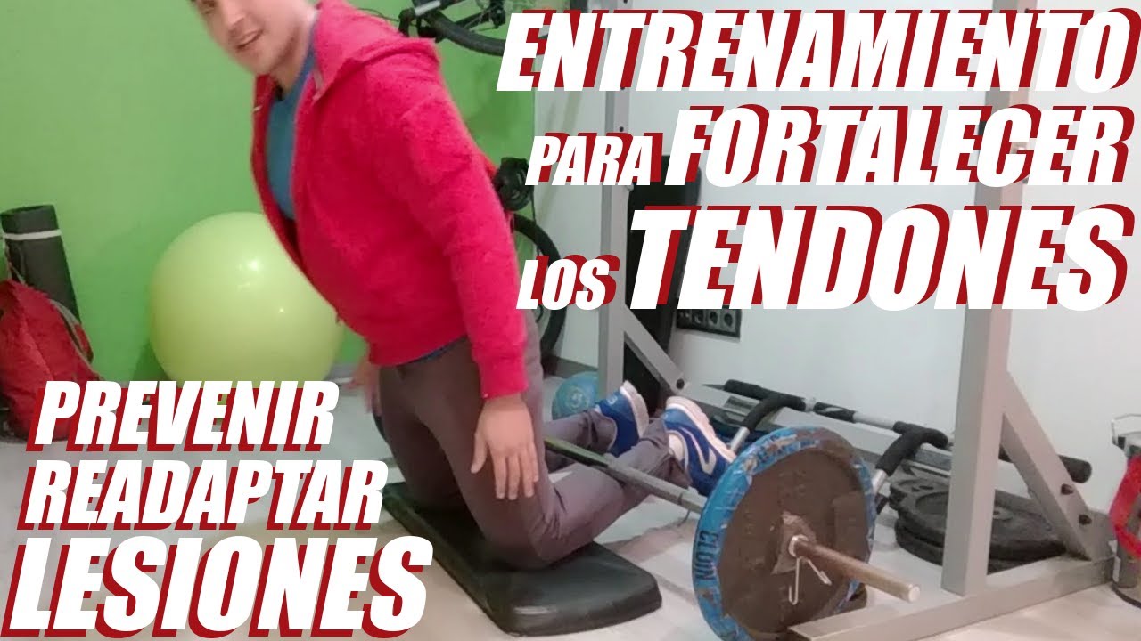 FORTALECER los TENDONES: ENTRENAMIENTO, Prevención y Readaptación de Lesiones | FUERZA Excéntrica