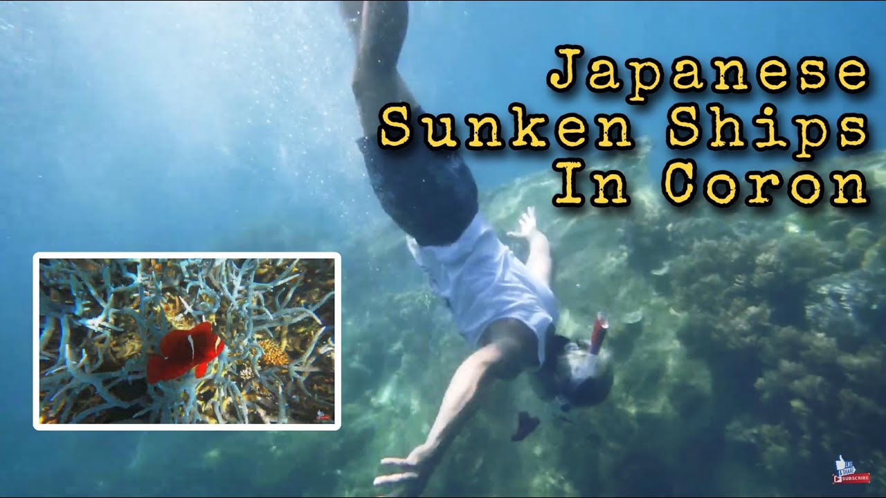 Coron Reef and Wreck Tour | Philippines || Jeff and Lea