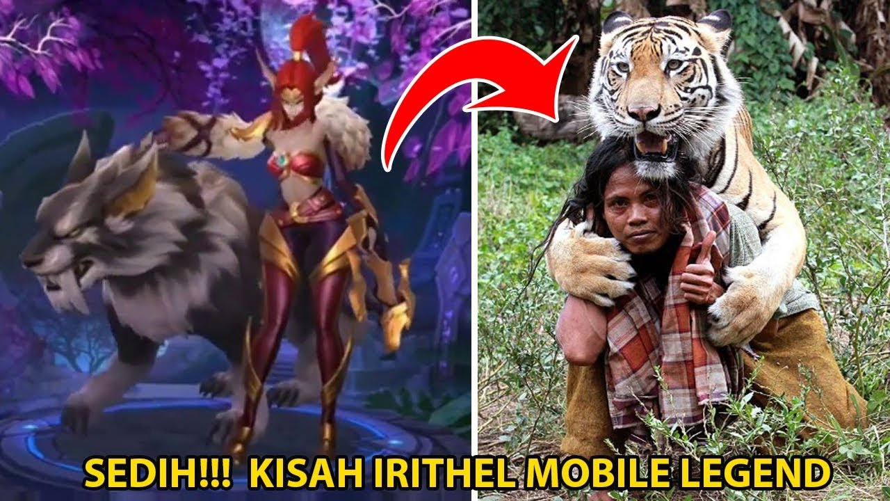 5 Hero Mobile Legend Dengan Kisah dan Cerita Menyedihkan