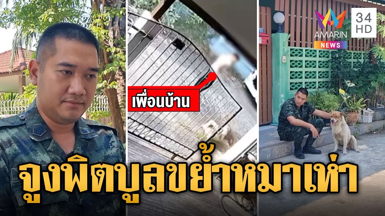 รำคาญหมาเพื่อนบ้านเห่า จูงพิตบูลขย้ำ | ข่าวเที่ยงอมรินทร์ | 5 ม.ค. 67