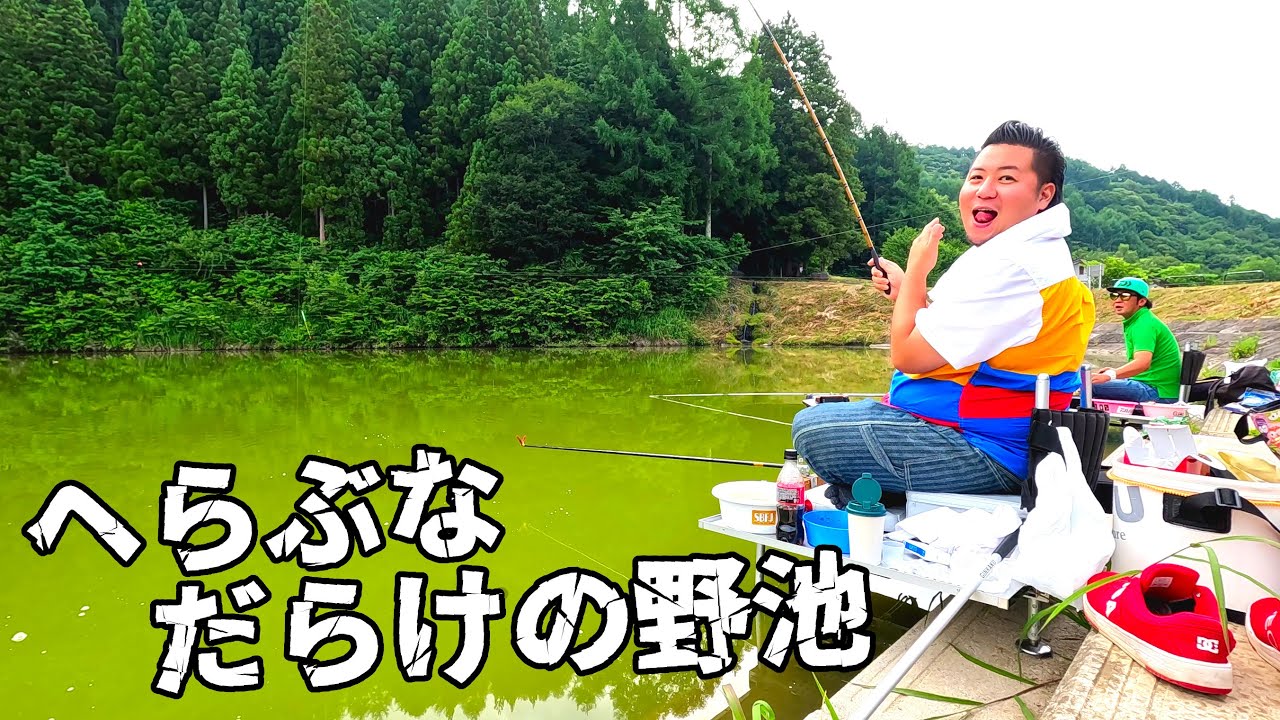 ヘラブナの魚影が濃い野池で涼みながら釣りを楽しむ【長野県小川村 大洞大池】
