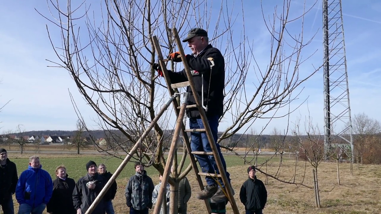 Obstbaumschnitt nach Palmer m. Helmut Ritter