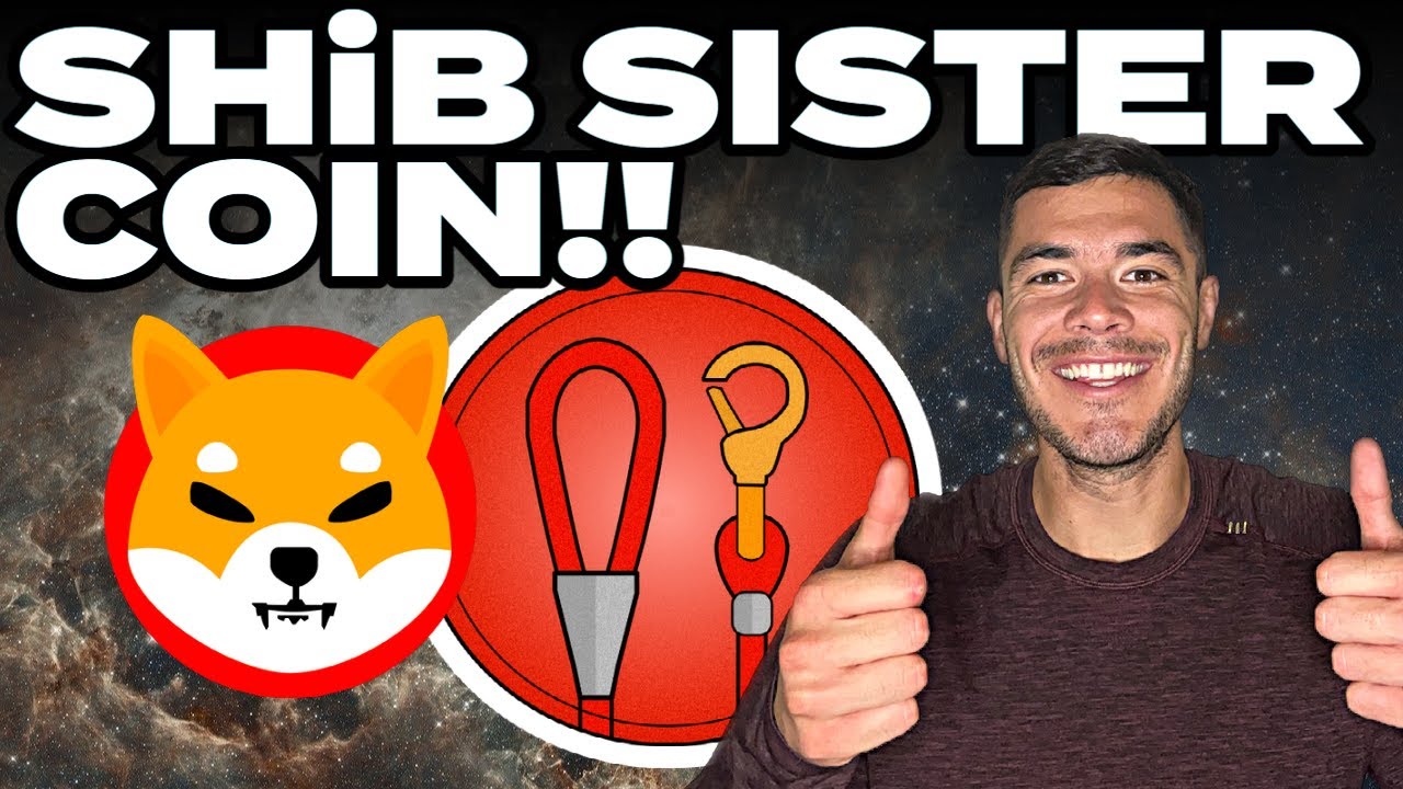 Leash Token (SHIB): Everything You Need To Know!