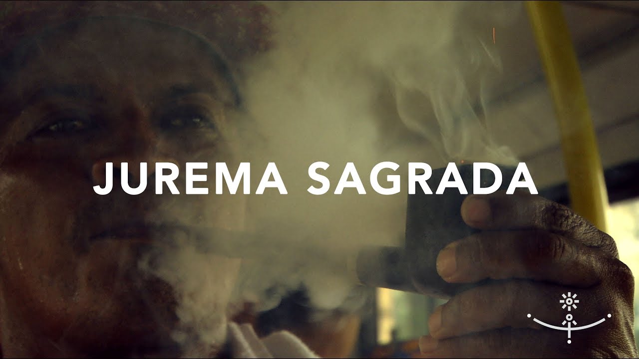 JUREMA SAGRADA (Híbridos, the Spirits of Brazil)
