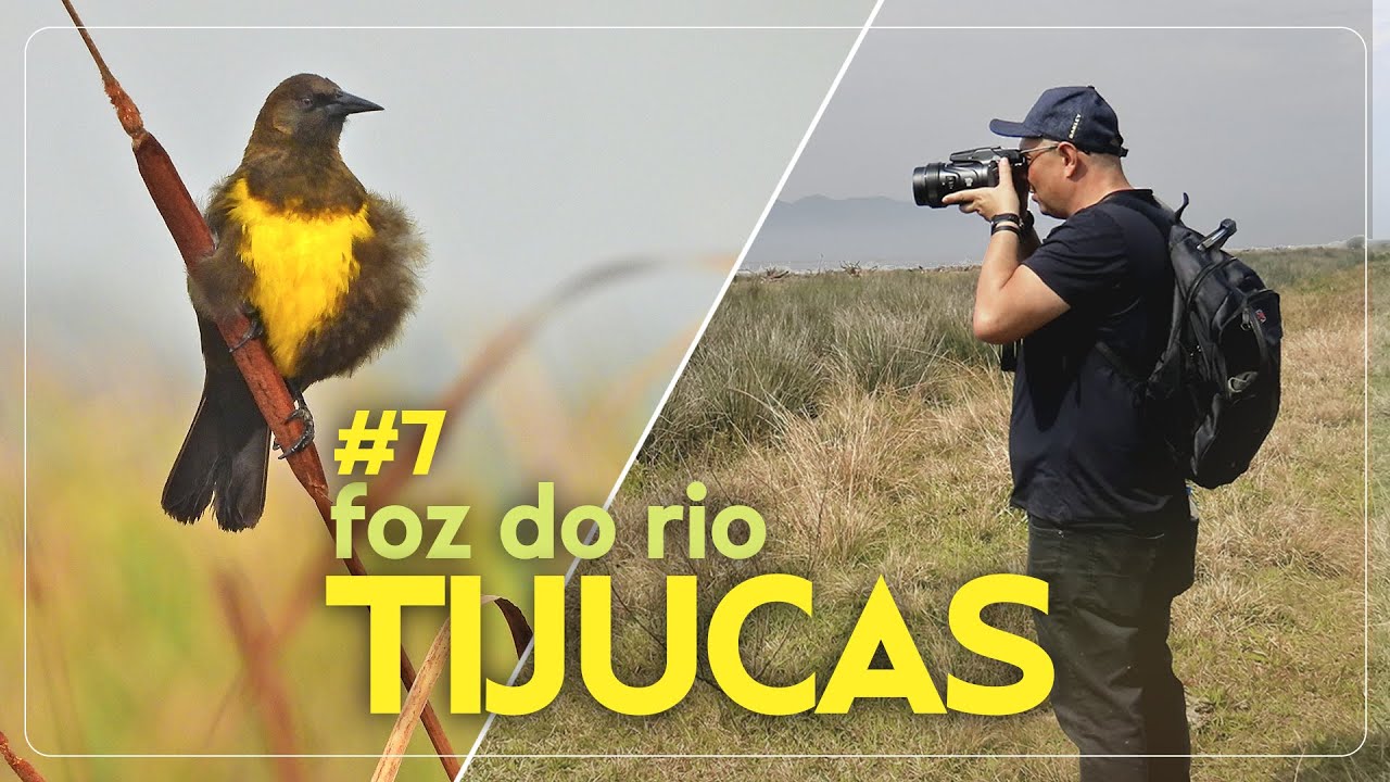 Foz do Rio Tijucas