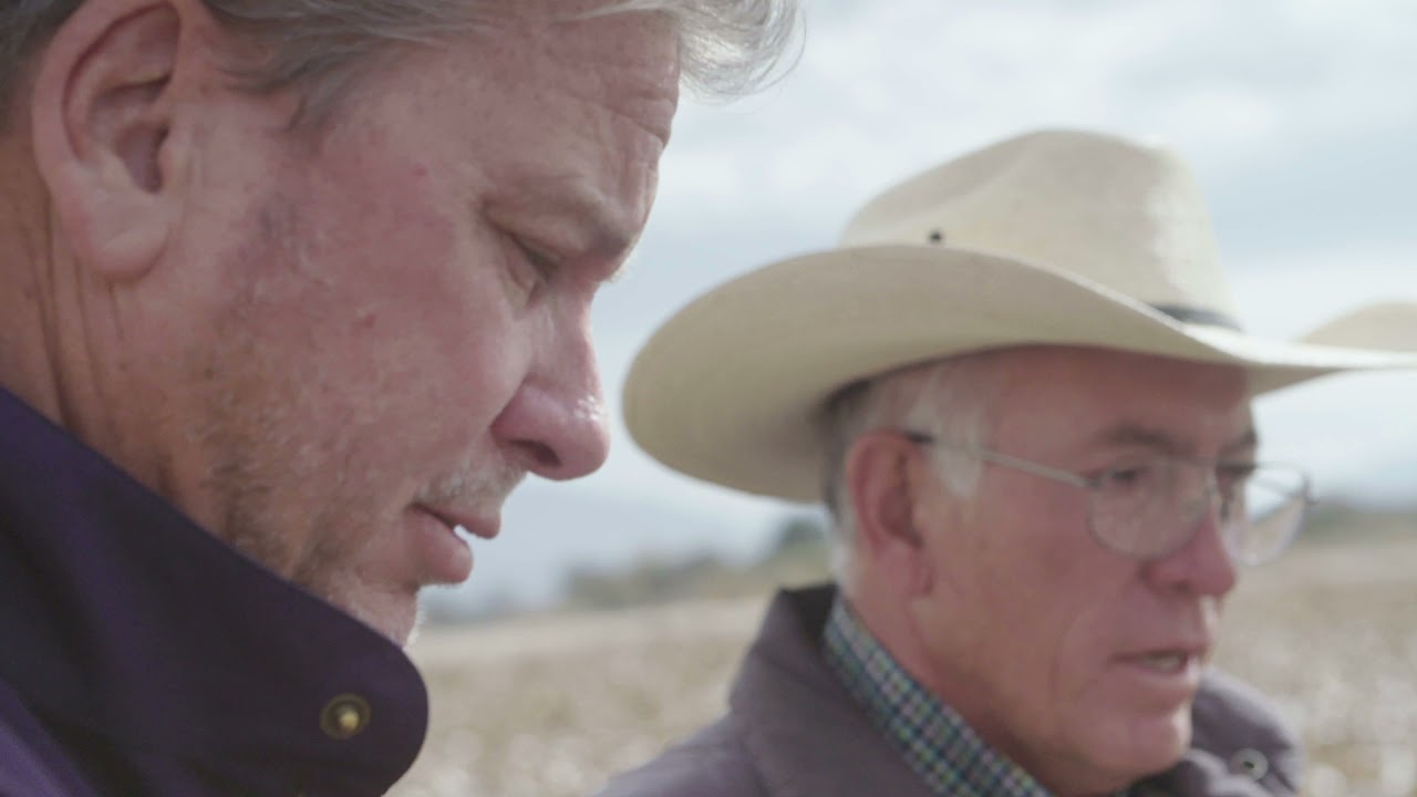 TRACEABLE ORGANIC COTTON IN NEW MEXICO