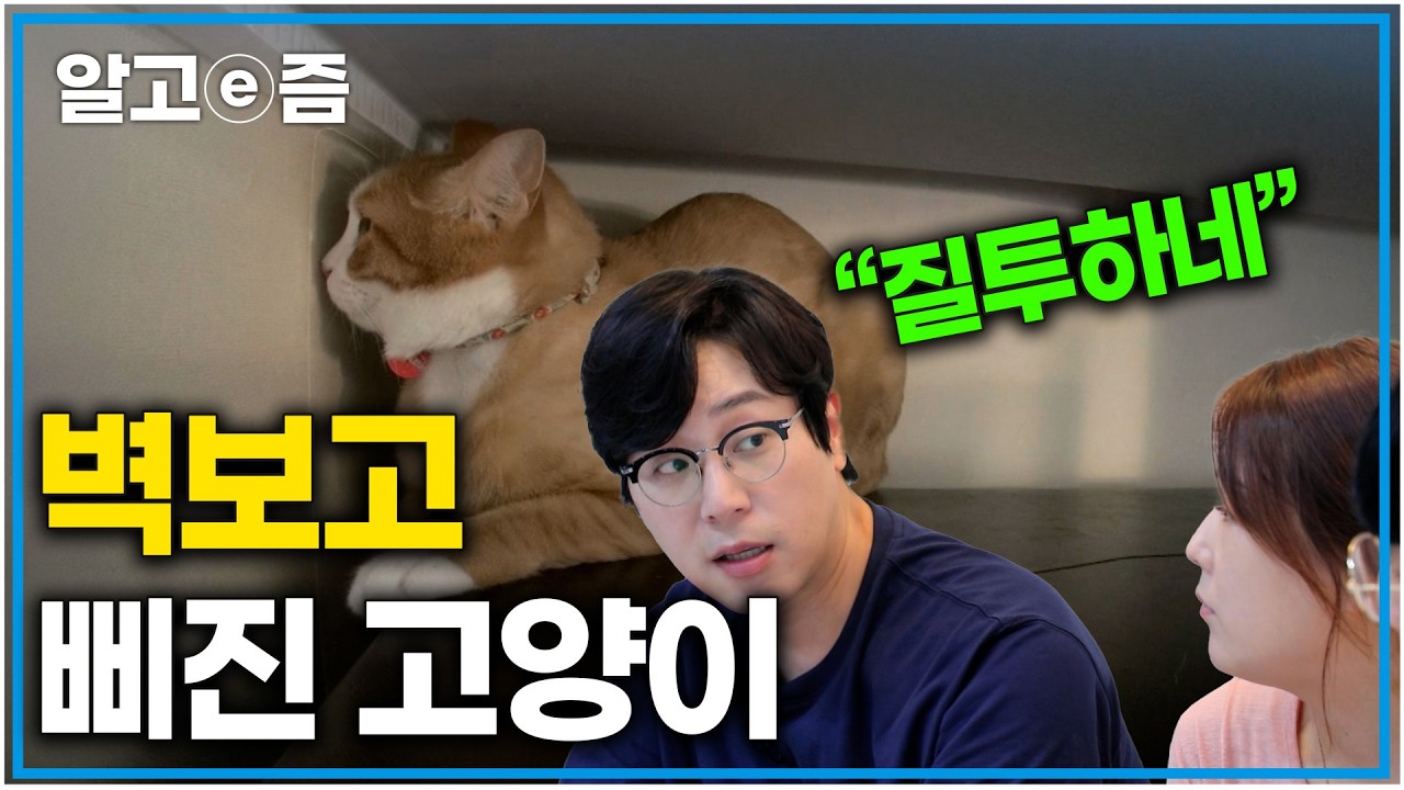 “집에 남자친구를 데려와서 삐진거죠” 집사를 질투하는 귀여운 고양이의 이유있는 반항｜고양이를 부탁해｜알고e즘