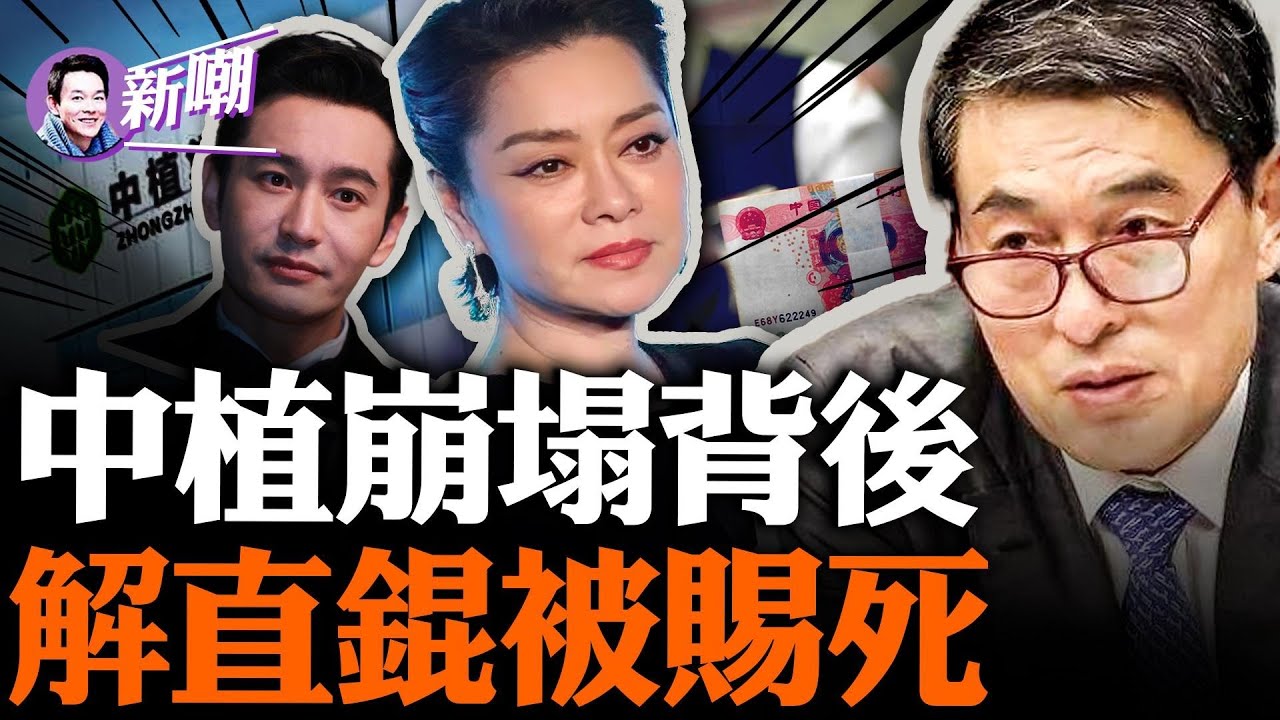 中植系万亿暴雷，解直锟以死谢罪！盗伐红松赚到第一桶金，盗取国有资产成为金融大亨！毛阿敏放弃继承260亿遗产，背后缘由惊人！章子怡、黄晓明投资中植损失上亿！『新闻最嘲点 姜光宇』2023.11.28