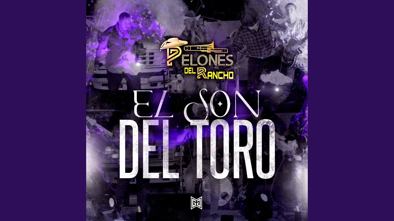 El Son Del Toro