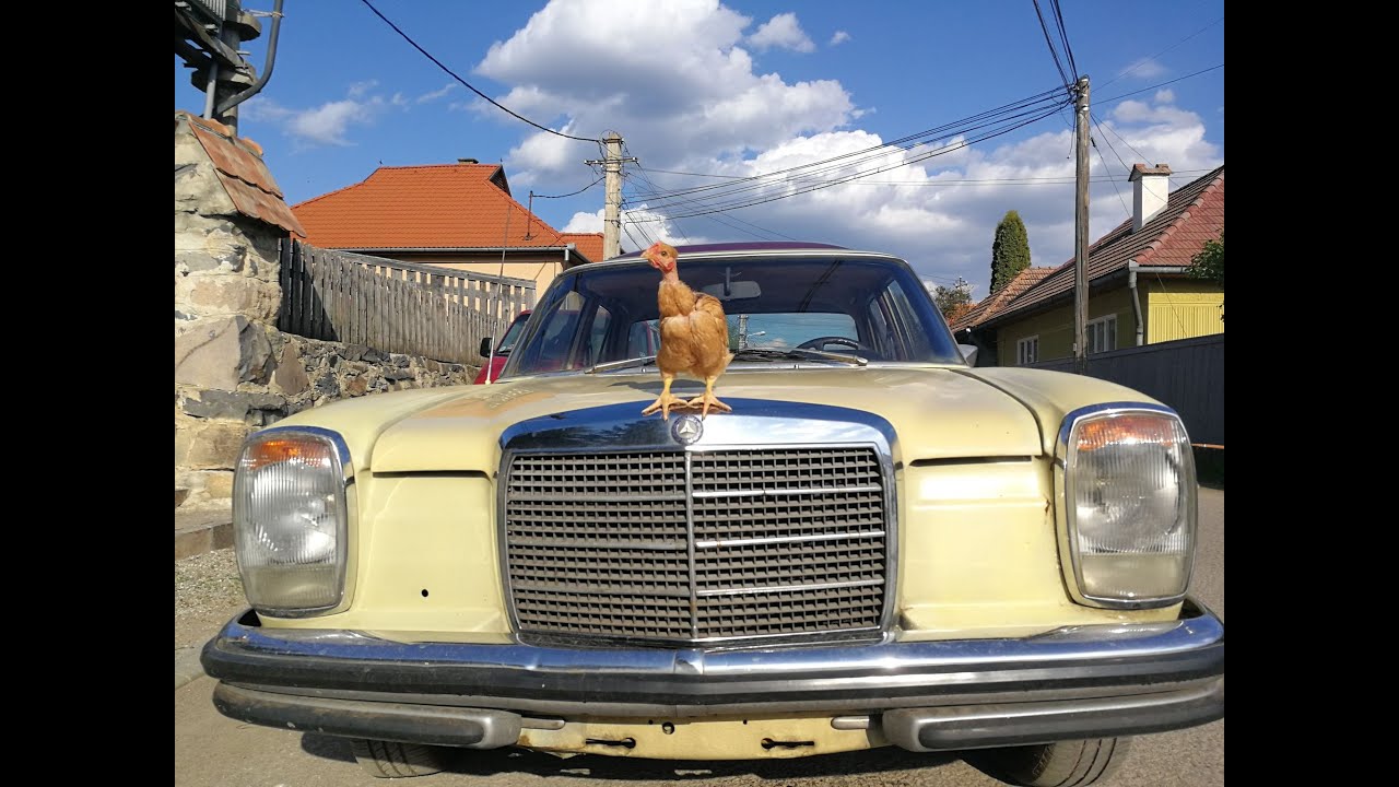 Meredes Benz w 114