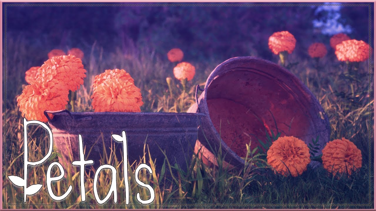 The Texas Chain Saw Massacre - Petals Gameplay Walkthrough ~ No Commentary [4K]