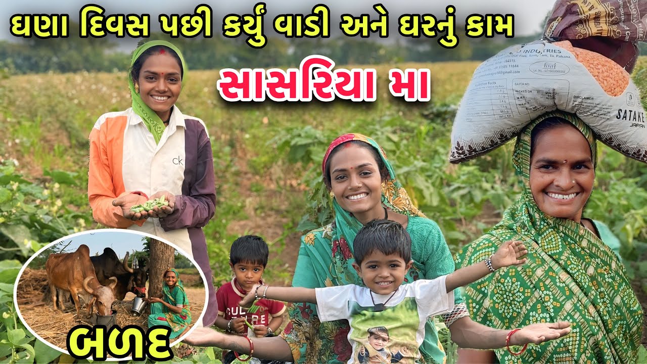 કેટલા દિવસ પછી સાસરિયા મા 🤩 પાછા કપાસ વિણવા 😢 | Sasural Vlogs | Family Lifestyle 