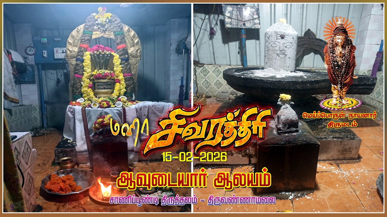 🕉️ மஹா சிவராத்திரி | Mahashivaratri 🕉️ #shiv #mahashivratri