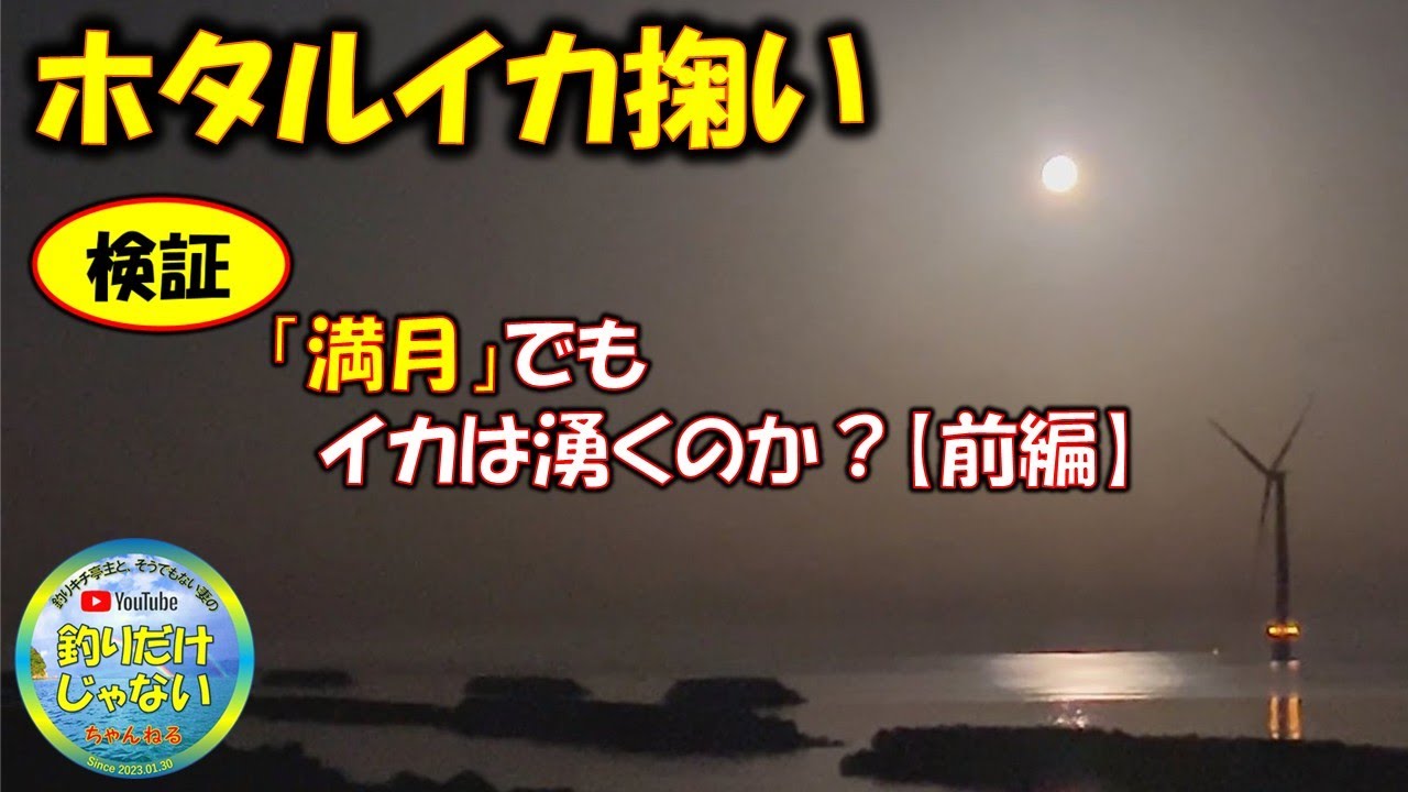 検証【ホタルイカ掬い】満月でもイカは湧くのか？！満月率75％、光量95％、月光きらめく夜のチャレンジ！！