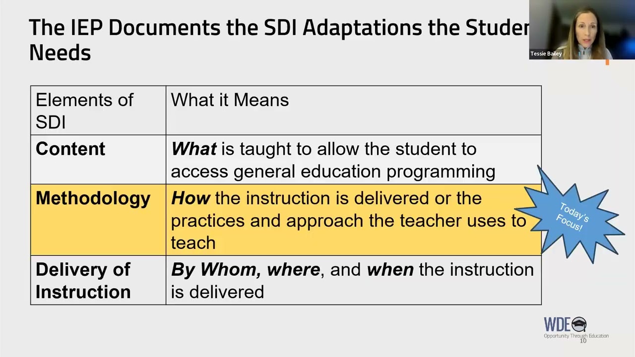 Practical Approaches to SDI Methodology Adaptation