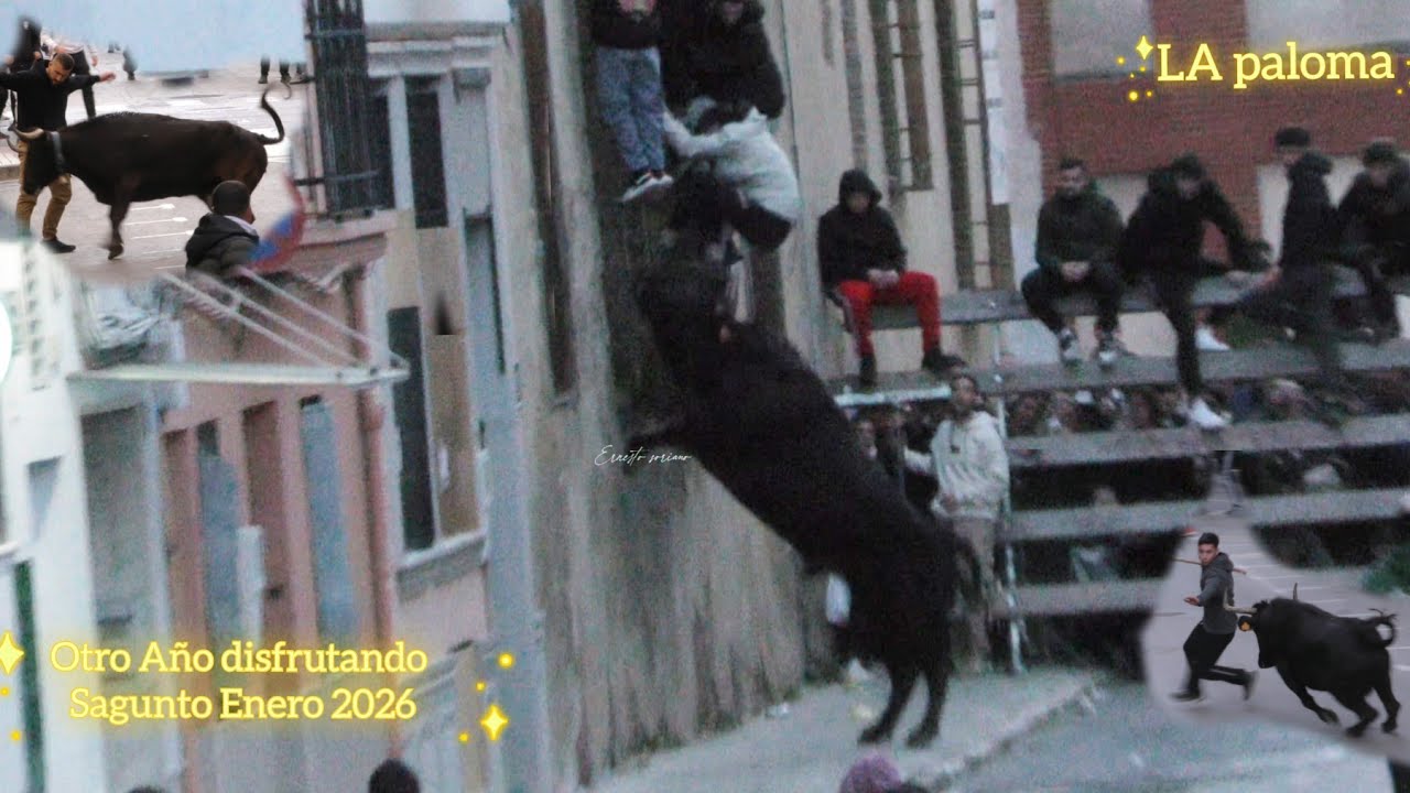 Resumen directo Sagunto 25 de Enero 2026 . Especial La Paloma 