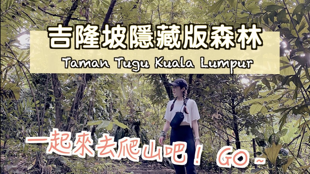 【好奇 Weekend Vlog 】一起來去爬山～吉隆坡隱藏版森林🌲📍Taman Tugu Kuala Lumpur