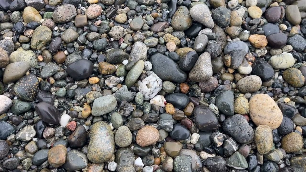 Alki Beach Seattle WA 🌲March 18th 2026 🌊