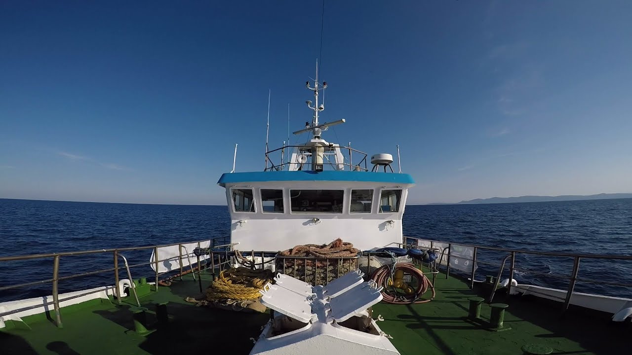 MEDITS 2021 - International bottom trawl survey in the Mediterranean