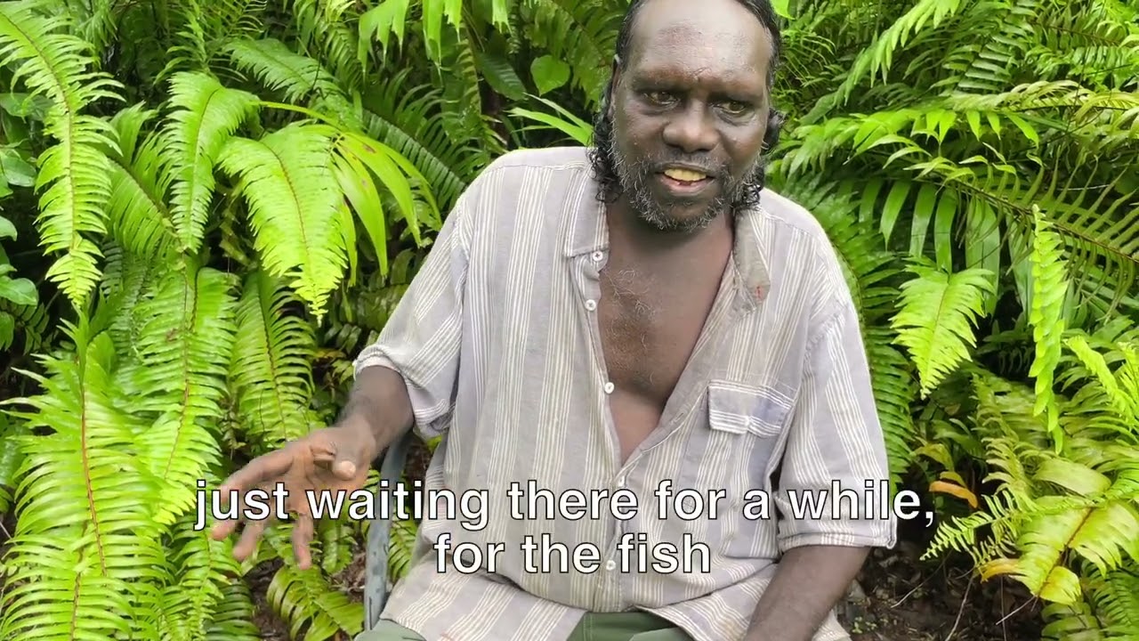 Fishing with Kidjdjahdjanj white apple tree bark - Bush food series by Graham Rostron in Kune