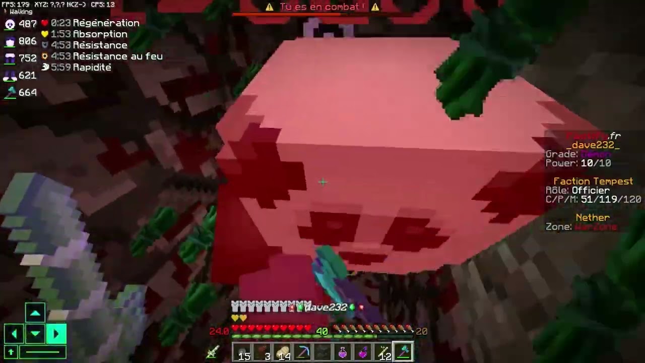 (pactify) on drop des bots nether